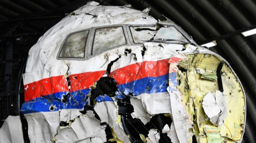 Пошкоджений фюзеляж літака рейсу MH17 (місце катастрофи біля Грабового, 2014 рік)