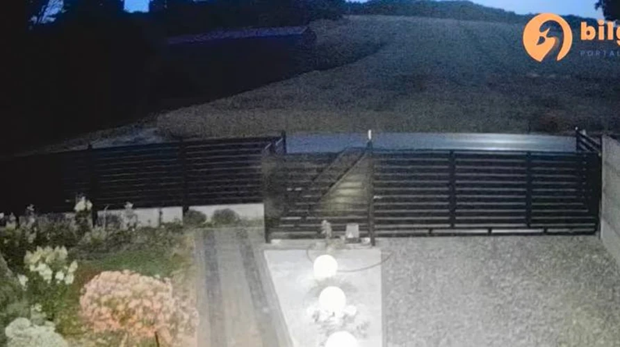 Скриншот відео з камери спостереження з нічним пейзажем і спалахом від падіння об'єкта