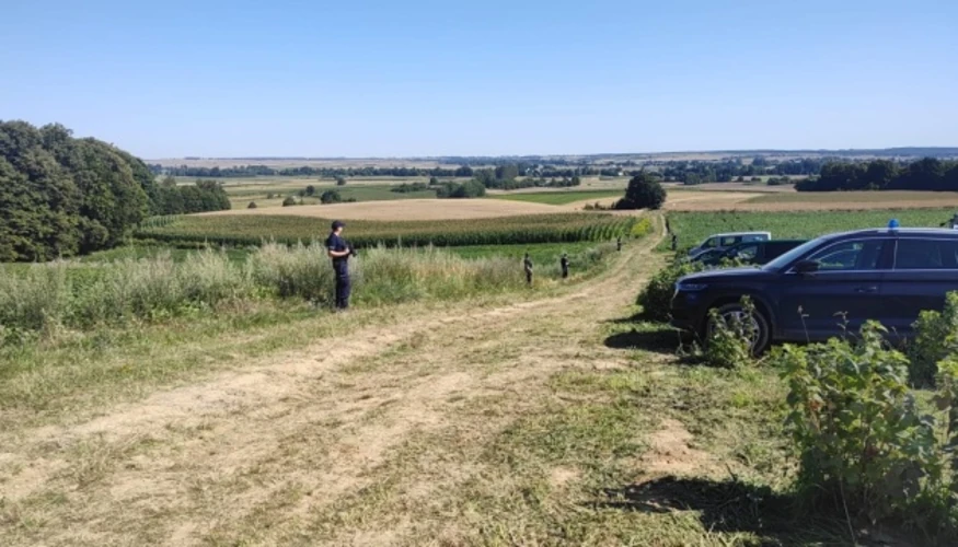 Воронка та уламки російської ракети Х-101 у полі в Люблінському воєводстві Польщі