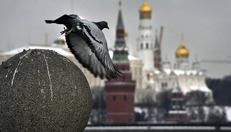 Хроніка 22–23 вересня: переговори у Нью-Йорку і відповідь Кремля