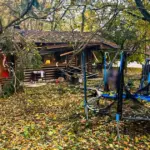 Чому удар по парку у Новій Водолазі стосується кожного жителя України
