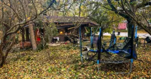 Чому удар по парку у Новій Водолазі стосується кожного жителя України